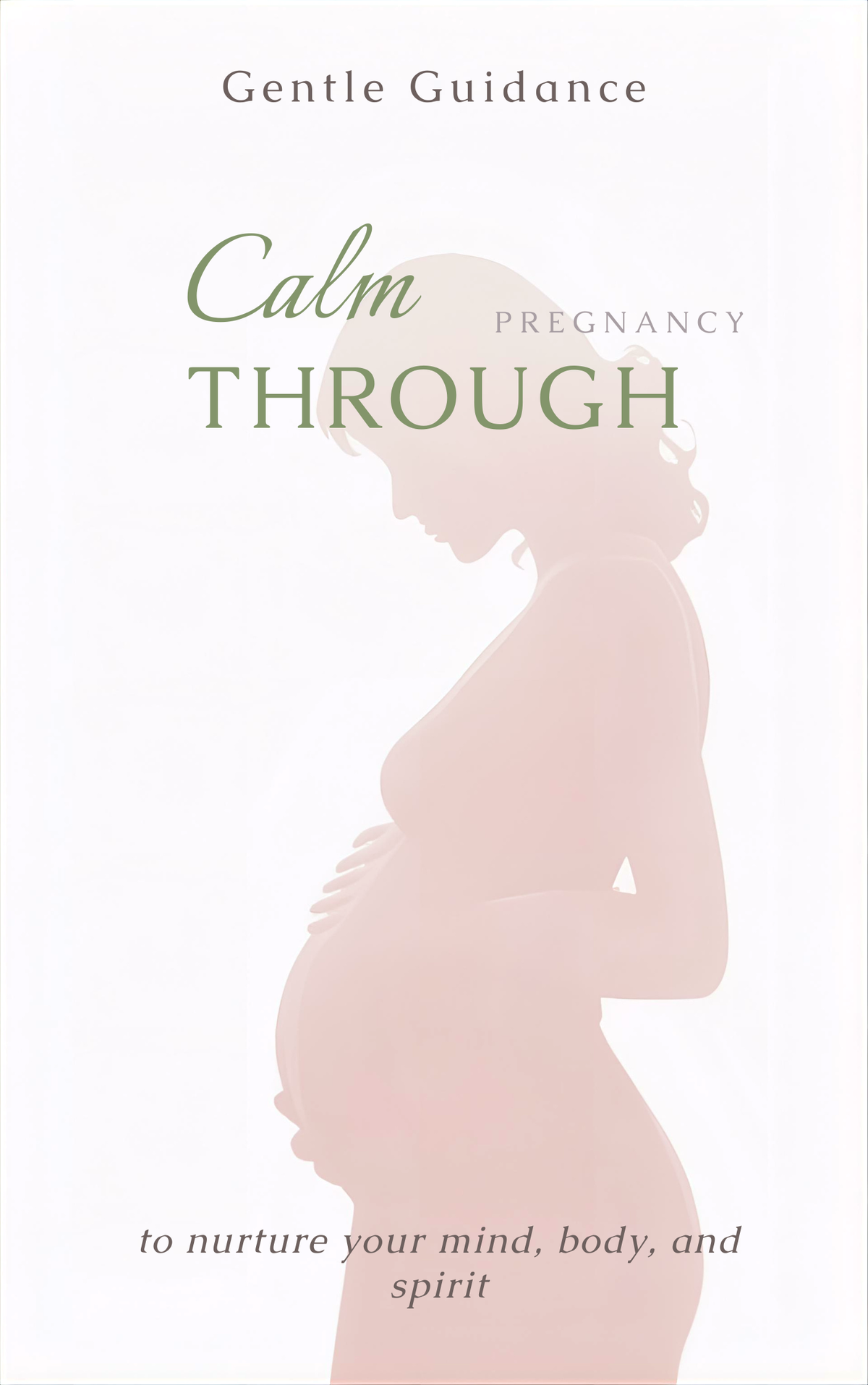 Safe Pregnancy Journey